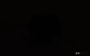 ストロボ撮影のメリット3_暗いところでも撮影できるa